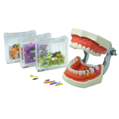 Cuñas matriz de acero inoxidable, x unidad - Cotisen