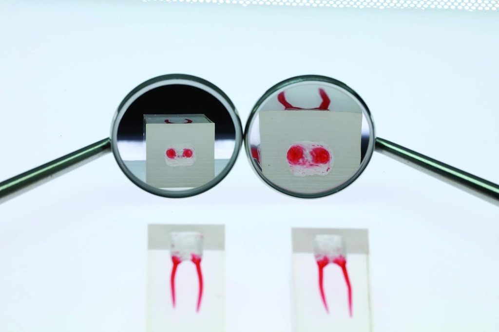 Espejos bucales 22 c/ aumento - Egeo