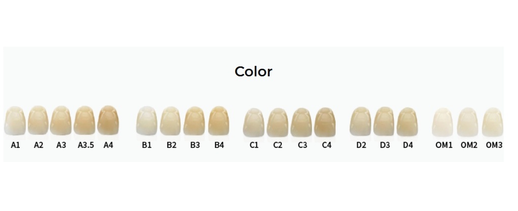 Kit cerámicas Stain / glaze All porcelain  Aesthetic of choise - Aidite (copia)