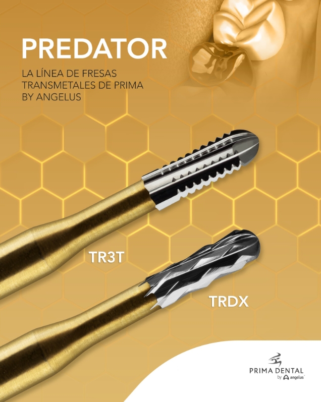 Fresa de carburo redonda extra larga CB1.316 - VERDENT