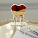 Organizador Slide B2, con tapa, multiusos (compresa, barbijos, guantes, etc) - VEESLIDE