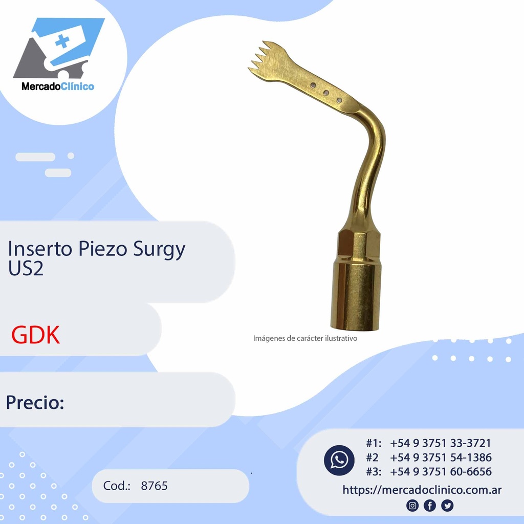 Inserto Piezo Surgy US2 - GDK