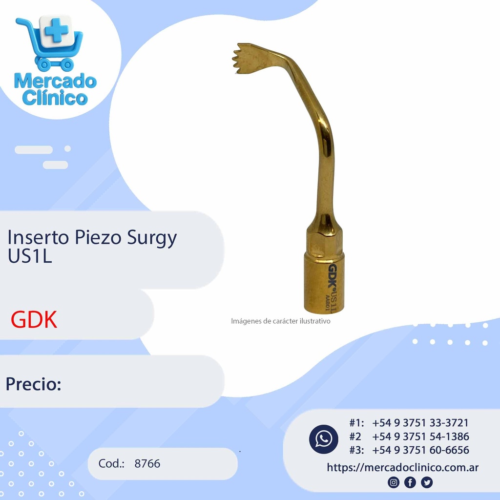 Inserto Piezo Surgy US2 - GDK (copia)