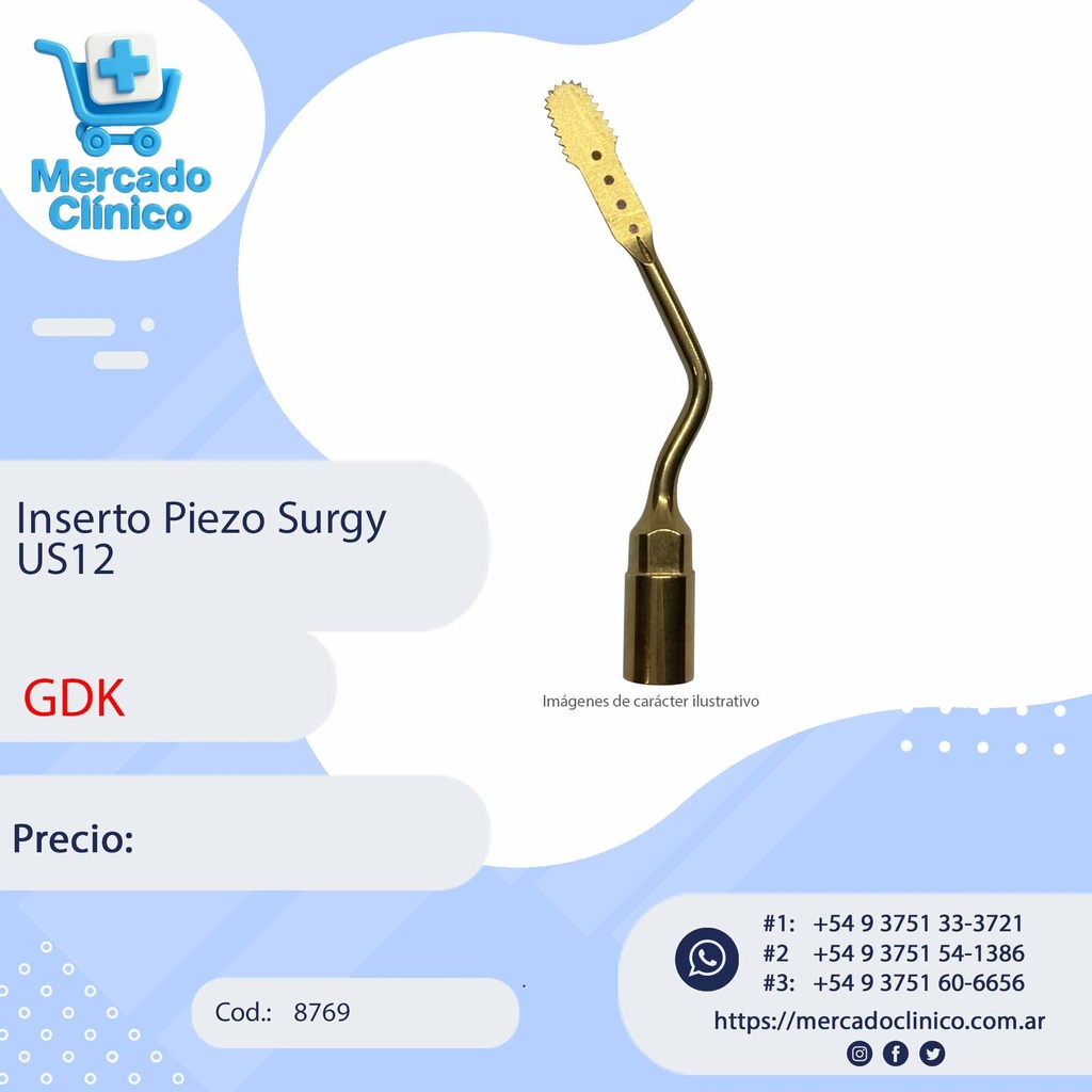 Inserto Piezo Surgy US12 - GDK