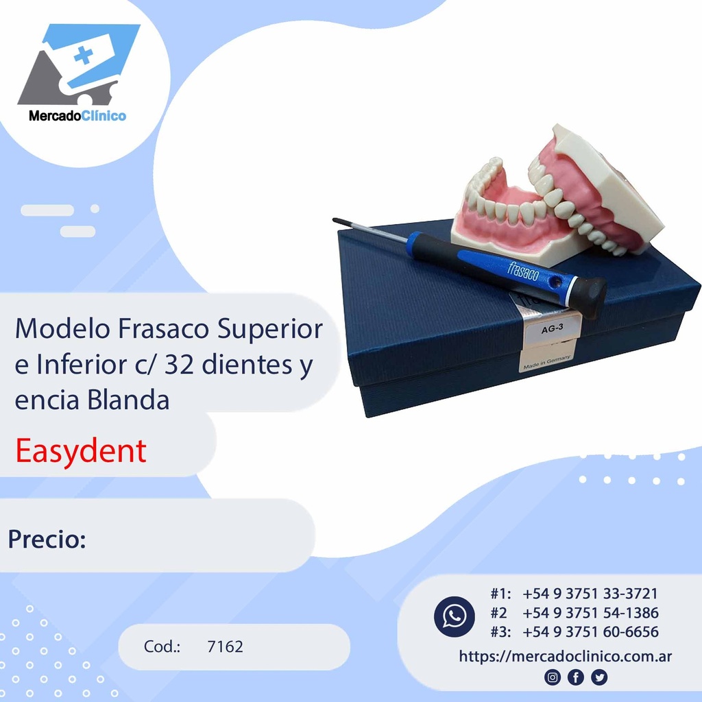 Modelo Frasaco Superior e Inferior c/ 32 dientes y  encia Blanda - Easydent